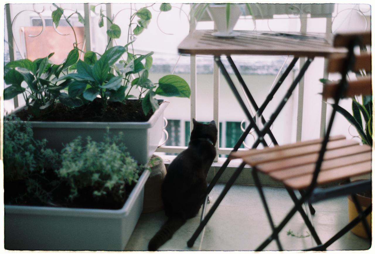 Magari Homestay ホーチミン市 エクステリア 写真