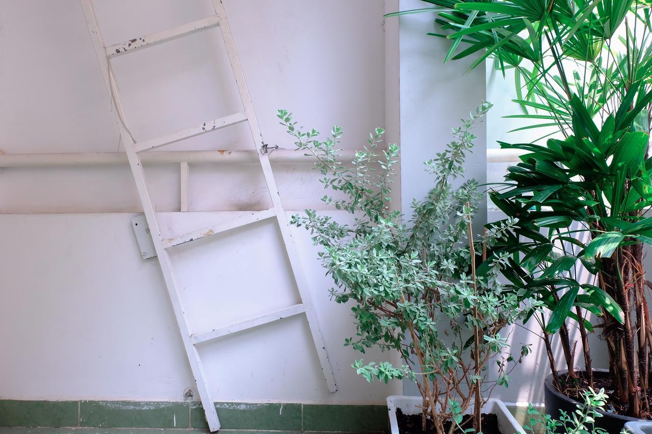 Magari Homestay ホーチミン市 エクステリア 写真